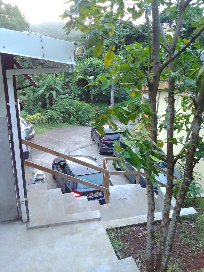 La Poulette Amazonienne Villa Riviere-Pilote Bagian luar foto
