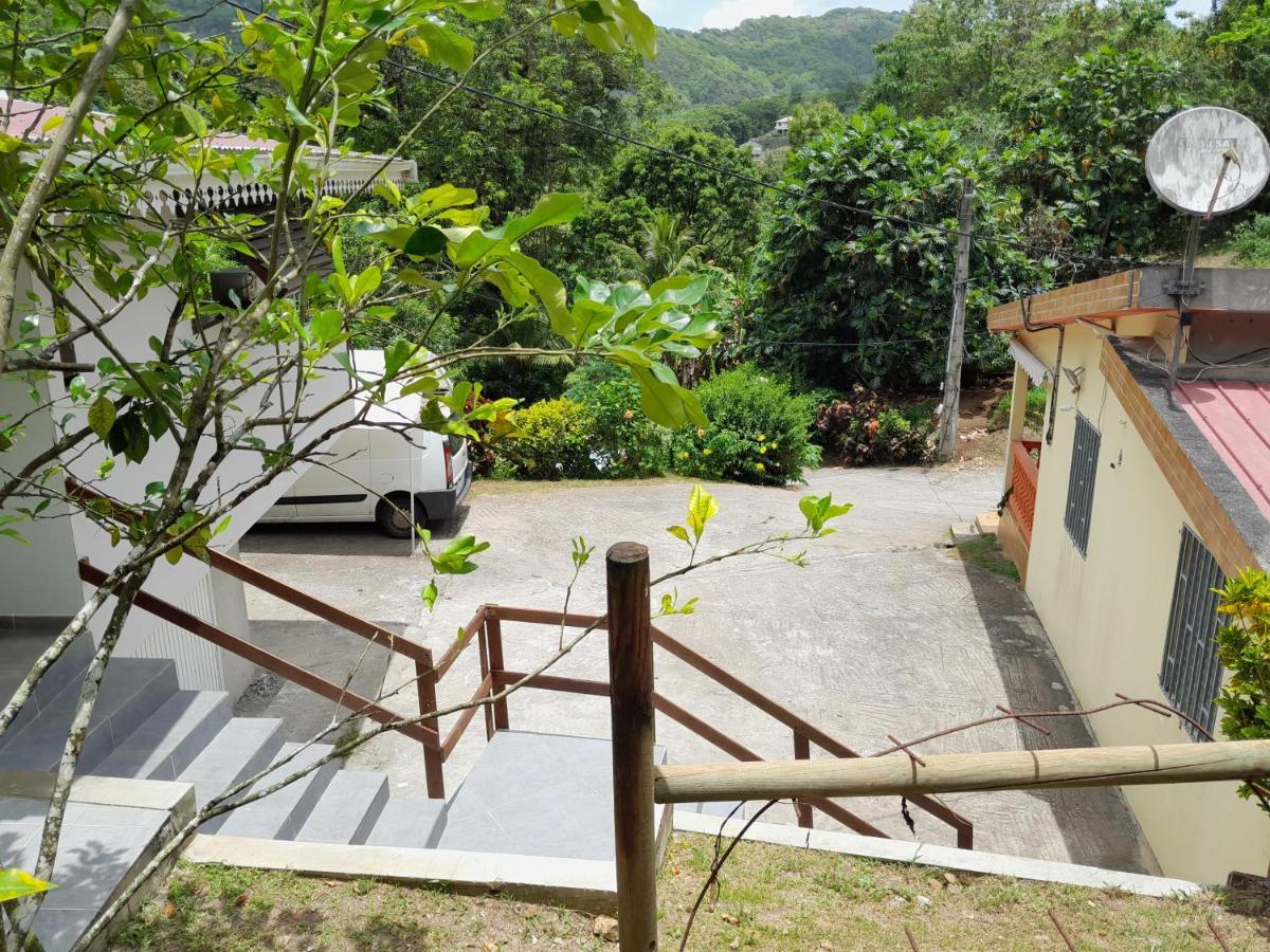 La Poulette Amazonienne Villa Riviere-Pilote Bagian luar foto