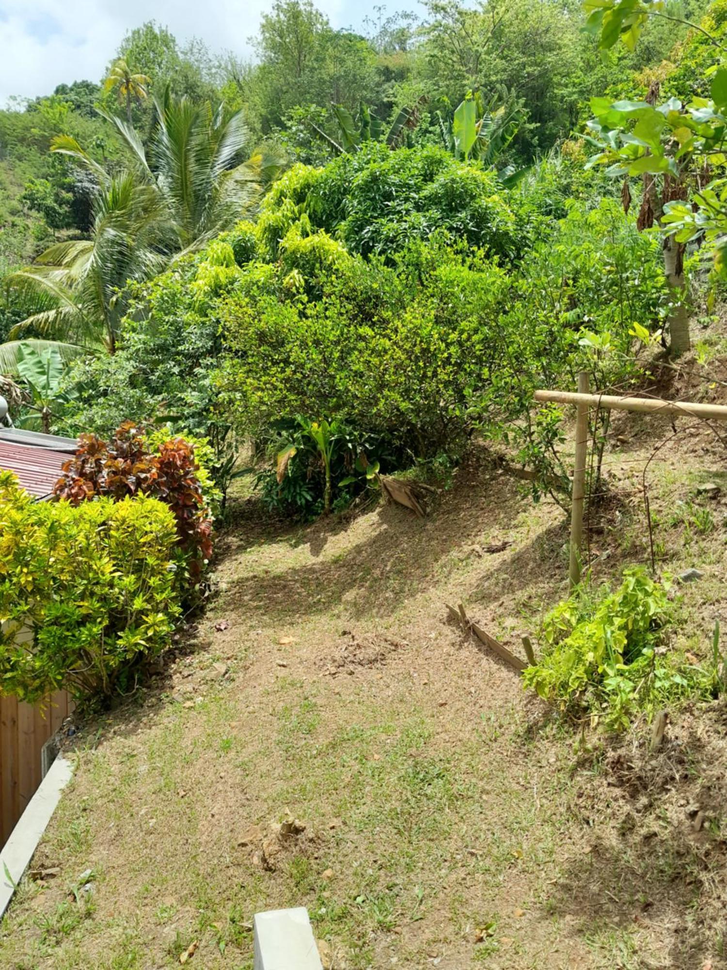 La Poulette Amazonienne Villa Riviere-Pilote Bagian luar foto