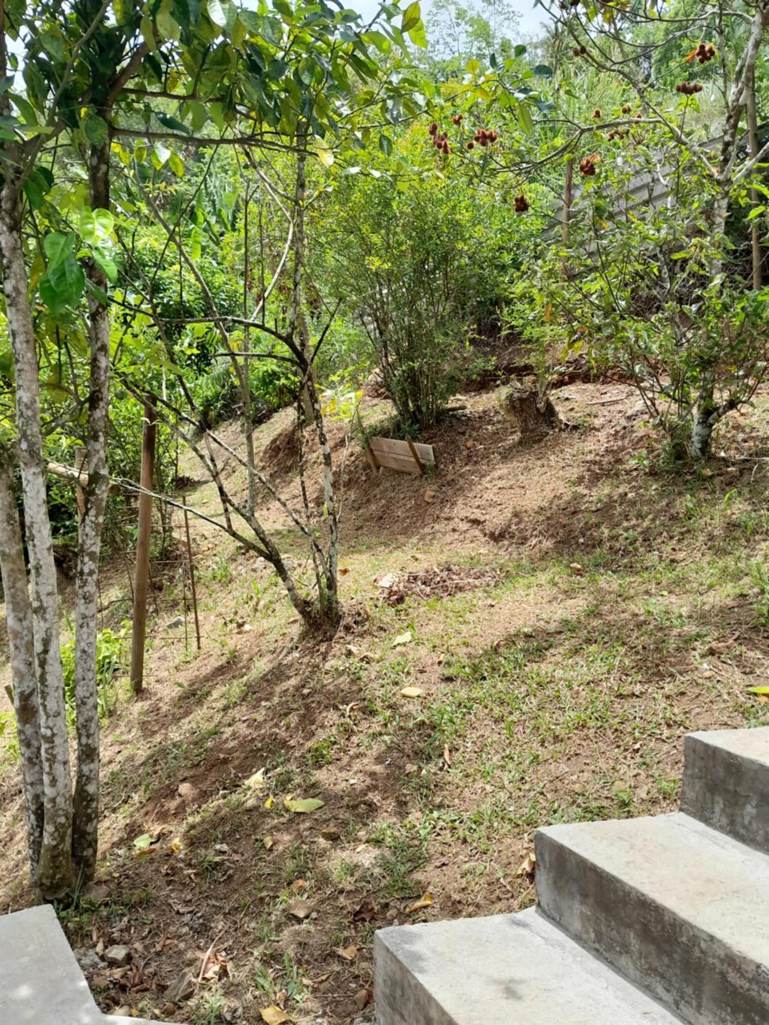 La Poulette Amazonienne Villa Riviere-Pilote Bagian luar foto