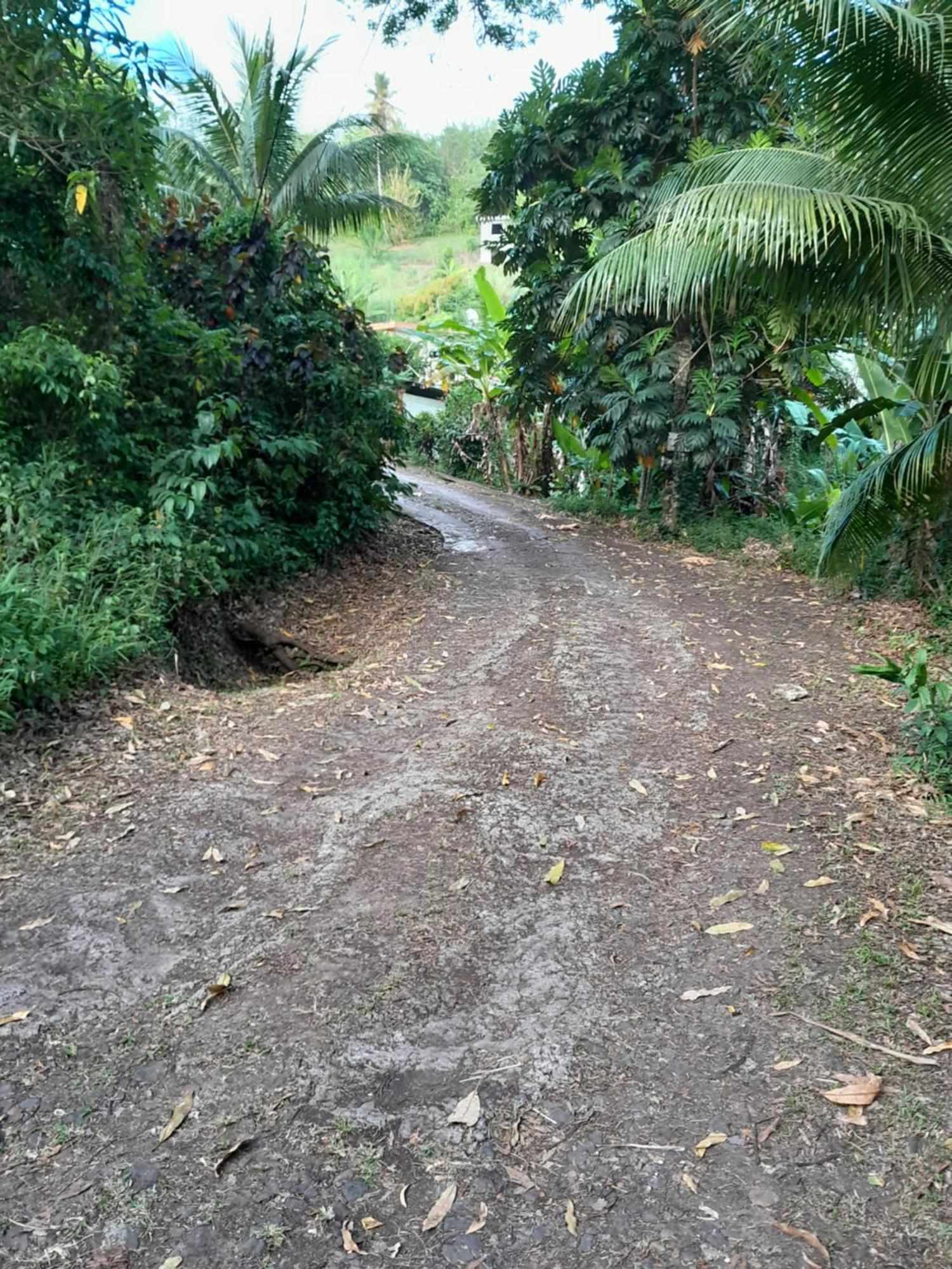 La Poulette Amazonienne Villa Riviere-Pilote Bagian luar foto