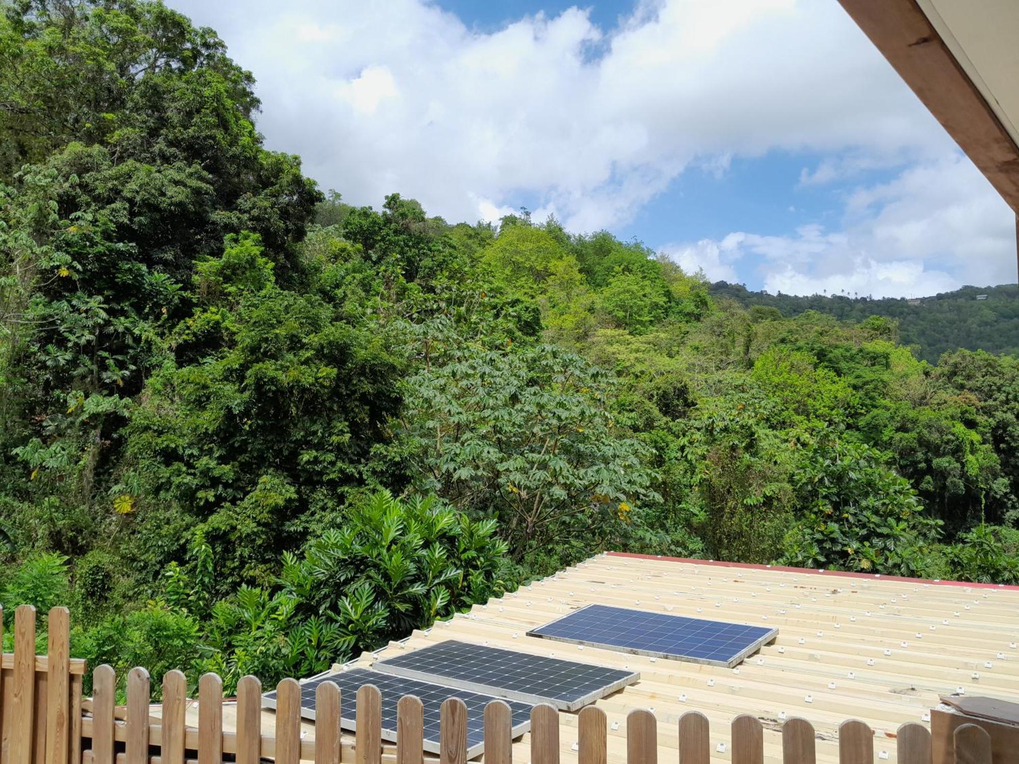 La Poulette Amazonienne Villa Riviere-Pilote Bagian luar foto