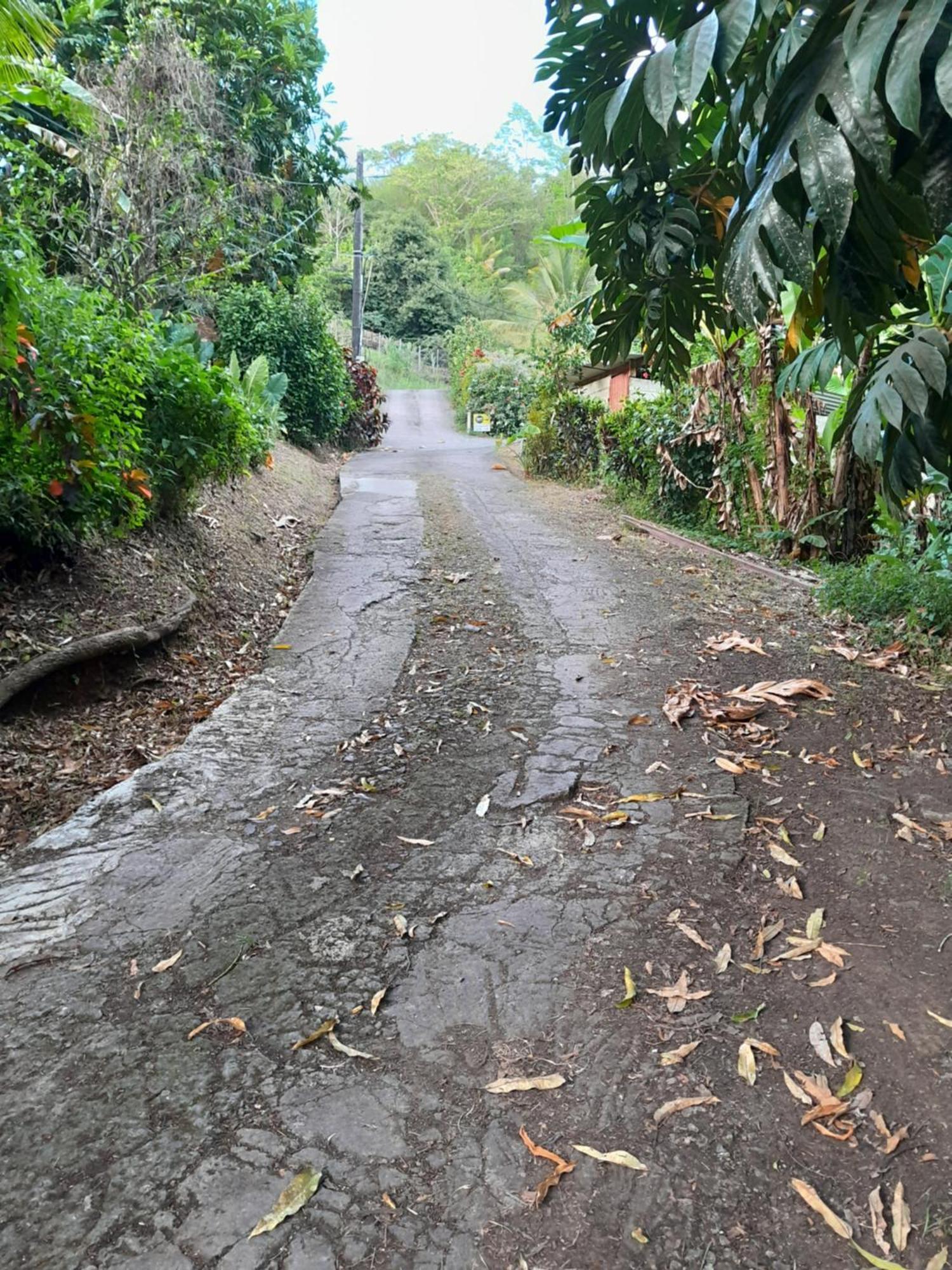 La Poulette Amazonienne Villa Riviere-Pilote Bagian luar foto