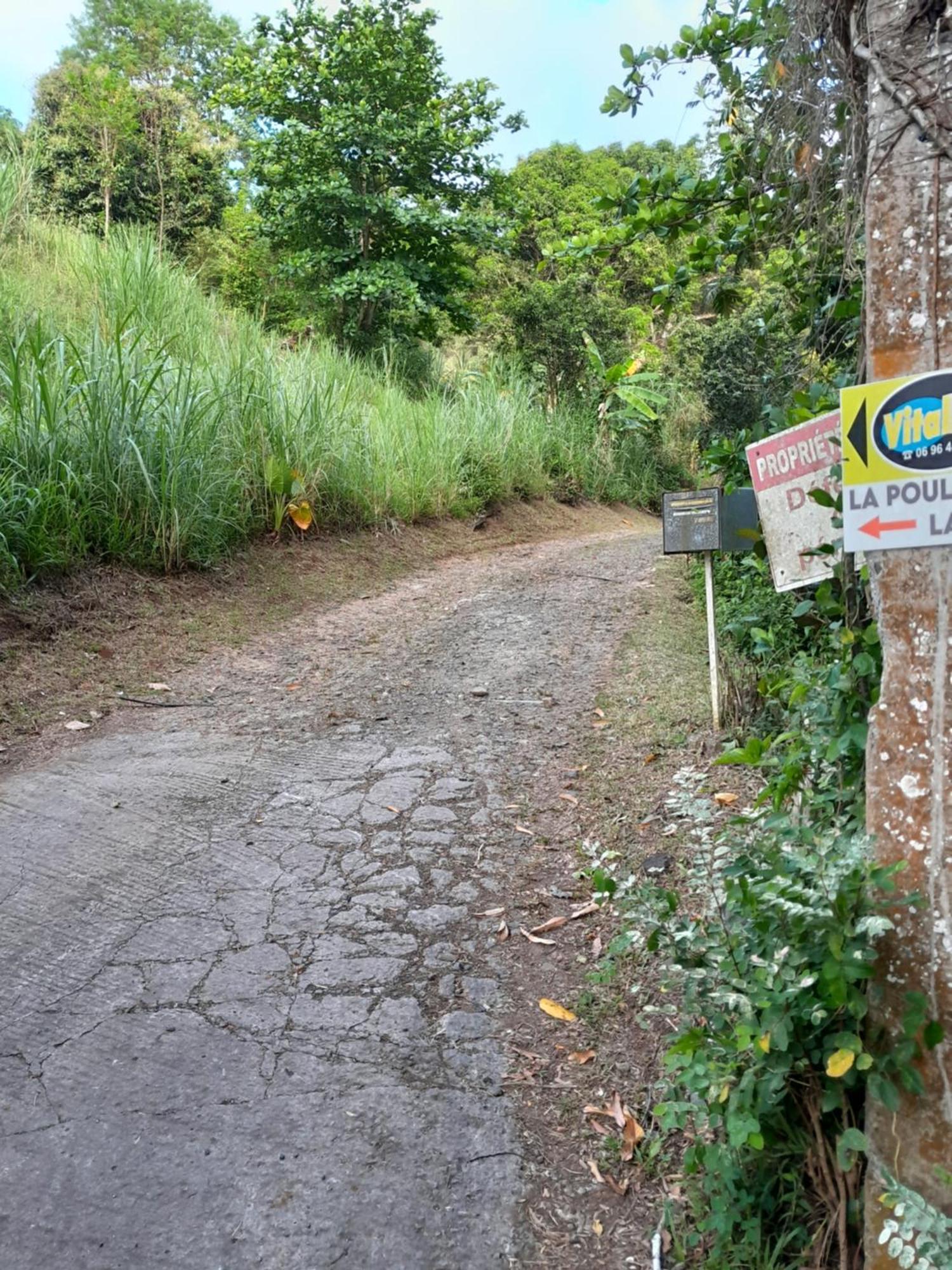 La Poulette Amazonienne Villa Riviere-Pilote Bagian luar foto